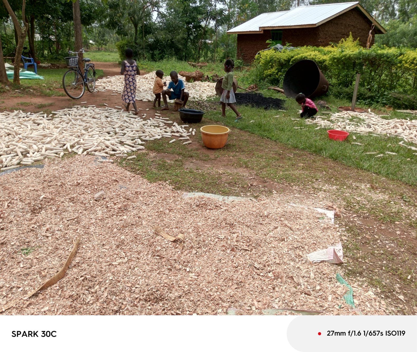 Community meeting under tree