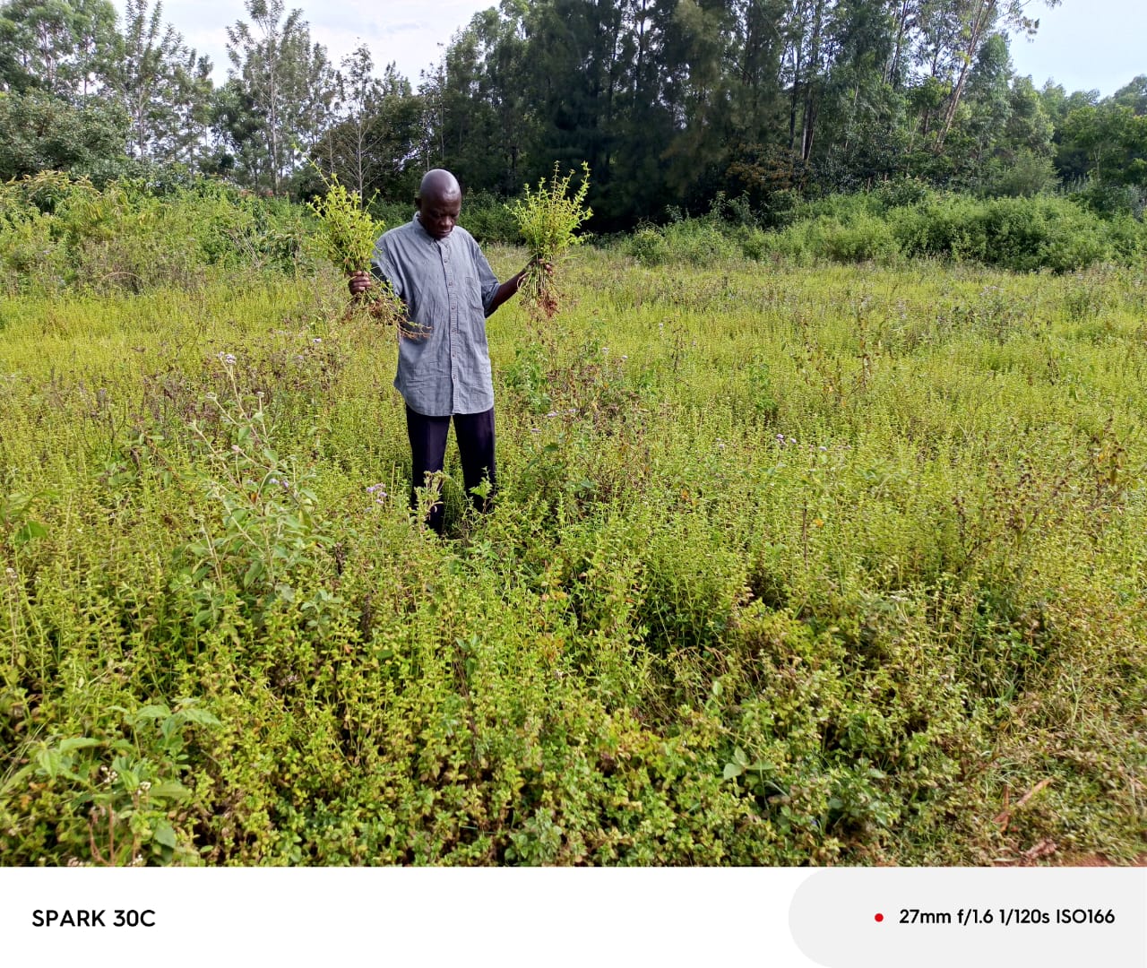 Biochar group session